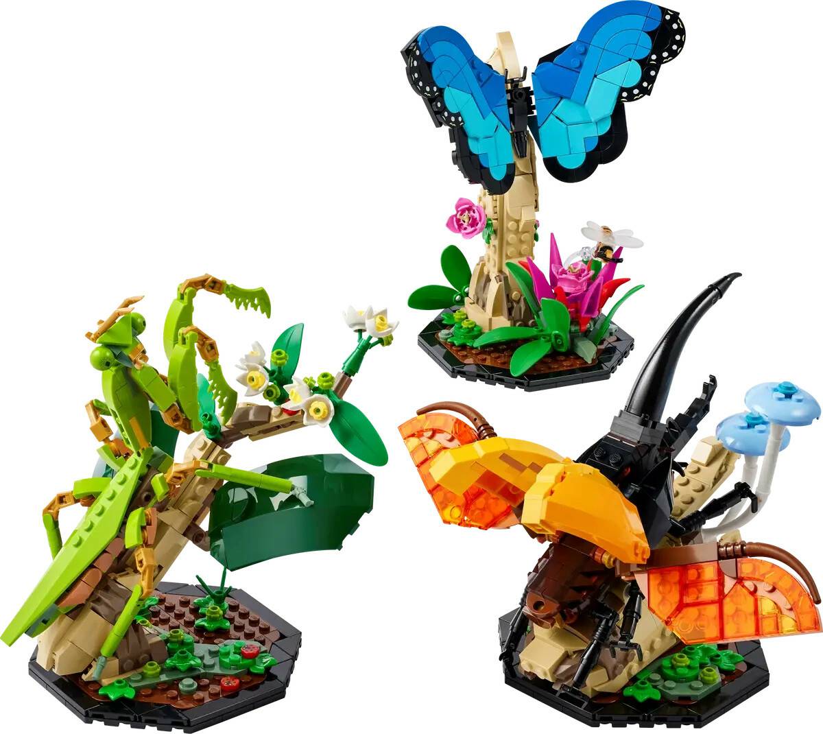 LEGO Ideas - Die Insektensammlung (21342) LEGO