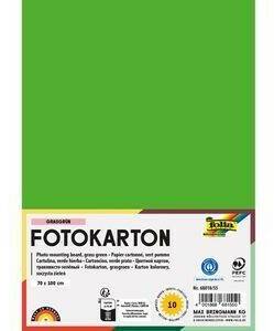 Folia Fotokarton 68010/55, 70 x 100 cm, grasgrün, 300g/m², 10 Blatt Bastelpapiere