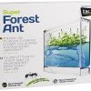 Globus International Antquarium Super Forest Ants Entdeckerspielzeuge