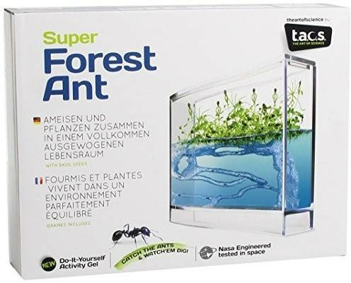 Globus International Antquarium Super Forest Ants Entdeckerspielzeuge