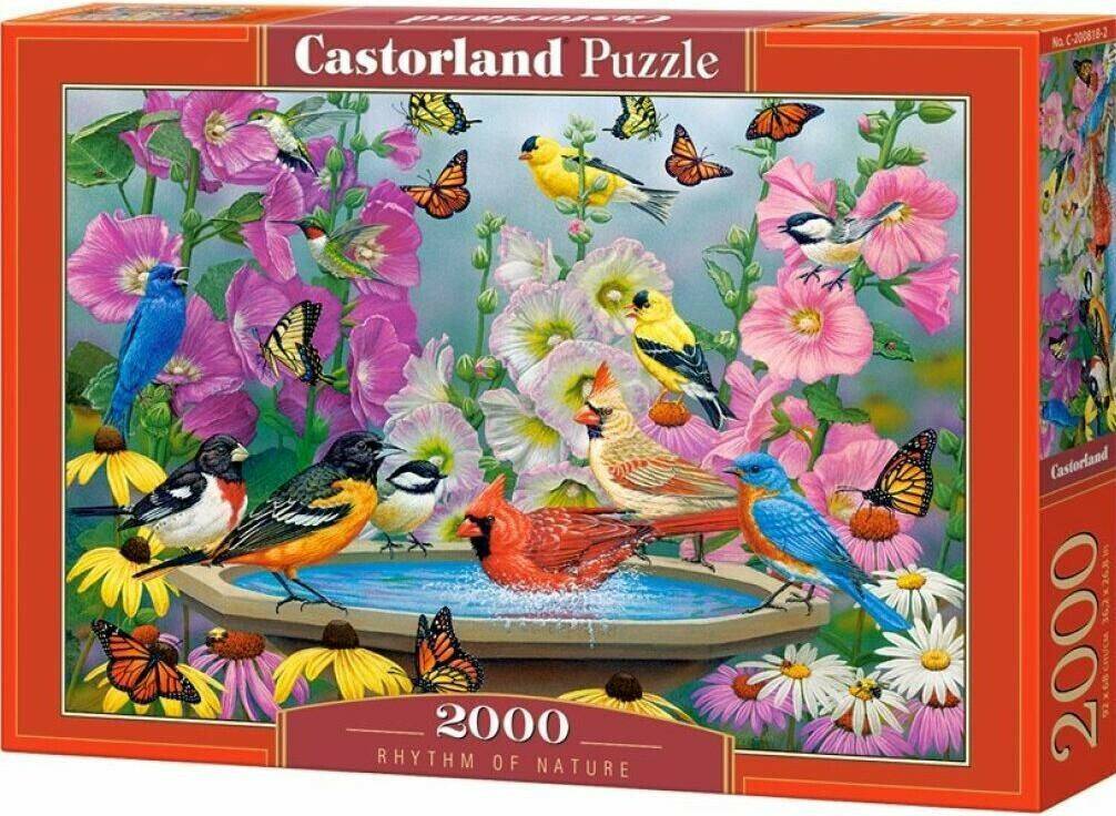 Castorland Rhythm of Nature (2000 Teile) Puzzles