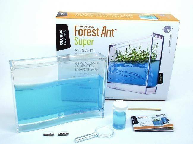 Globus International Antquarium Super Forest Ants Entdeckerspielzeuge