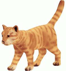 Schleich Katze laufend Schleich