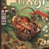 Fungi Kartenspiele