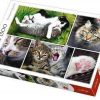 Trefl Collage Die Katzen (1500 Teile) Puzzles