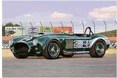 Modellbausätze Revell Shelby Cobra 427 S/C (07367)